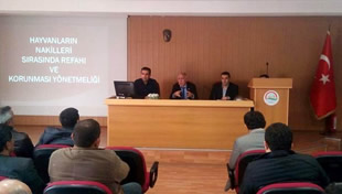 Aydınlı Yetiştiricilere Hayvan Nakli Eğitimi