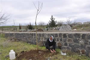 Bir Ağaç Kesen Vatandaşa 30 Ağaç Dikme Cezası Verildi