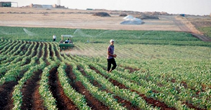 Karadağ ın Sancak Bölgesinde Sürdürülebilir Tarım Projeleri Devam Ediyor