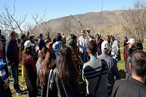 Fıstık Bahçesinde Uygulamalı Eğitim