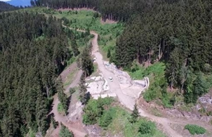 Cerattepe deki Maden İçin Bölgeye Özgü Yüz Binlerce Arı Görmezden Gelinmiş