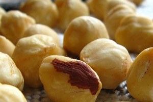 Türk fındığı Dubai de Tanıtıldı