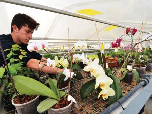 Mamak Çöplüğü Artık Tarımsal Üretim Merkezi