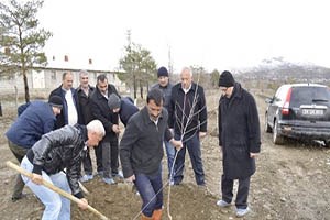 Dap Destekli Meyvecilik Bölgede Hız Kazanıyor