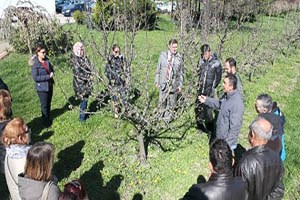 Dernek Üyelerine Budama ve Aşılama Eğitimi Verildi