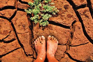 Tosya`da Kuraklık Uyarısı