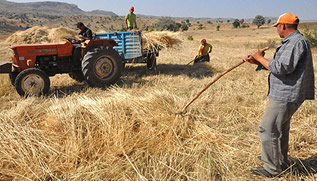 Yemde KDV İndirimi Çiftçiye Yansımadı