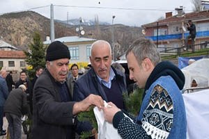 Koyulhisar da 3 Bin Fidan Dağıtıldı