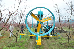 Meyve Ağaçları Artık Donmayacak