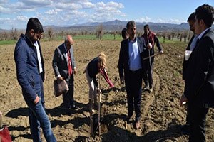 Organik Tarım Eğitimi Ağaç Fidelerinin Dikilmesiyle Sona Erdi