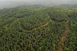 Karbon Avcılığı nda Ormanlarımız 4 üncü