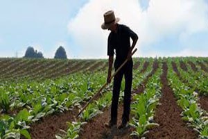 Küçük Aile İşletmesi Desteği Almak İsteyenlere Duyuru