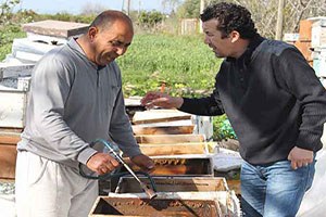 Çiftçilere Zirai İlaç Uyarısı