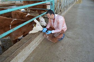 MAKÜ Gezici Klinik Yetiştiricilerin Hizmetinde