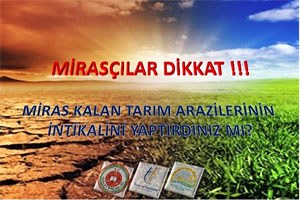 Mirasçılar Dikkat 3 Ayınız Kaldı
