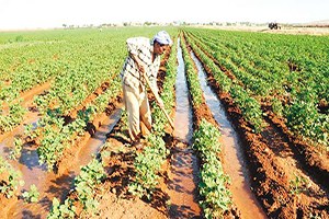 Sulama Projeleriyle Tarımda 6 2 Milyon Kişiye İş Verildi