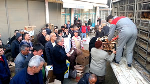 Giresunlu Çiftçilere 500 Adet Tavuk Dağıtıldı