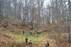 Yaban Hayvanları İçin Doğaya 3 Bin Meyve Fidanı Dikildi