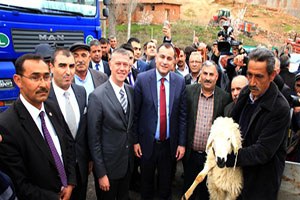 Çankaya Belediyesi Köylülelere Koyun ve Koç Dağıttı