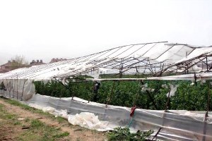 Fethiye deki Fırtına Seraları Yıktı