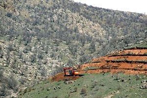 Siirt te Dağlık Alanlar Fıstık Bahçelerine Dönüştürüldü