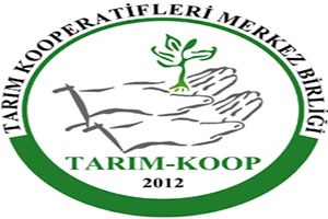 Yeterli Arz Olmasına Rağmen Fırsatçılar Fiyatlarla Oynuyor