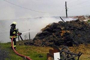 Tekirdağ da Balya Yangını