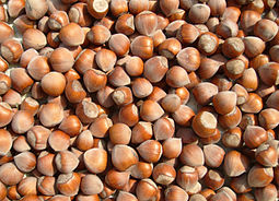 Üreticilere Destek Uyarısı