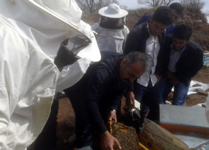 Sincik te Uygulamalı Arıcılık Eğitimi Veriliyor