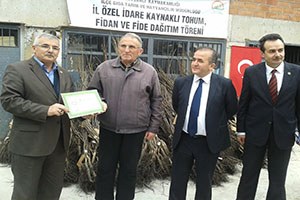 Çiftçilere Ceviz Fidanı Dağıtıldı