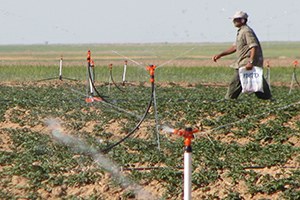 Dicle Elektrik Dağıtım Çiftçileri Bilgilendirdi