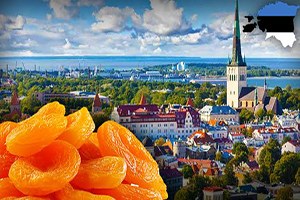 Türkiye den Estonya ya Kuru Kayısı