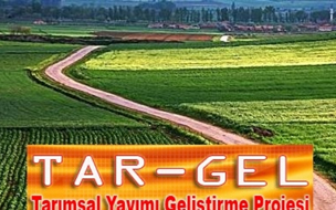 Tar Gel liler İlçe Ve İl Müdürlüklerine Alınıyor