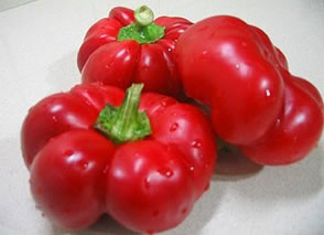 Domates Biber Ve Patlıcan Sapından Milyonluk Gelir