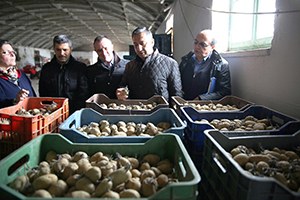 TİKA dan Arnavutluk ta Tarım Ve Hayvancılık Alanında Uzman Desteği