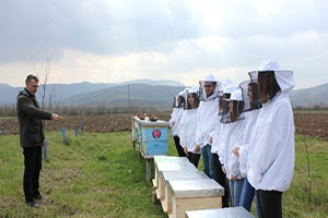 Tika dan Bosna Hersek te Arıcılığa Destek