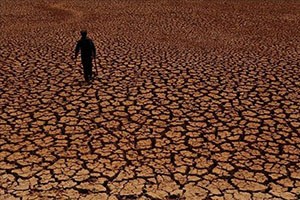 Vietnam da Kuraklığın Vurduğu Çiftçilere Destek