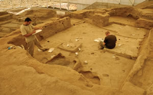 Çatalhöyük Buğdayının Antik DNA Analizi Yapıldı