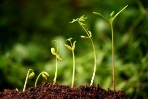 Toprak Bilimciler İstanbul da Buluşacak