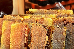 Türk Balı İçin Hedef Avrupa Pazarı