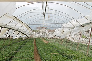 Manavgat ta Hortum Yıktı Geçti