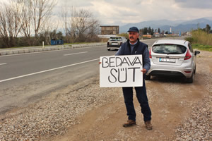 Sütünü Satamayan Çiftçi 300 Litre Sütü Bedava Dağıttı