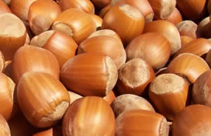 Fındığı Da Çay Gibi İşleyip Satalım