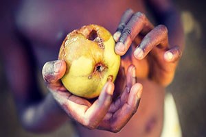 Gıdaya Erişimde Tehlike Çanları