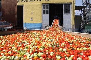 Kulaca da 2016 Sezonu Başladı
