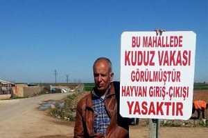 Ceylanpınar da Mahallede Kuduz Karantinası