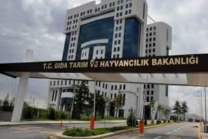 Sabahat Güllüoğlu Tarla Bahçe Bitkileri Daire Başkanlığı na Atandı