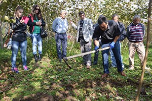 Gübre Zamanında Ve Dozunda Kullanılmalı