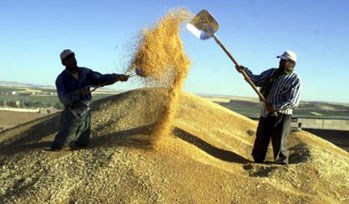 Tarımda Kullanılacak Düşük Faizli Kredilerin Şartları Belli Oldu