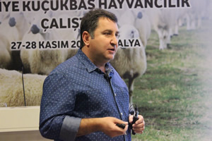 Rafta 9 TL Olan Sütten Yetiştirici Ne Kazanacak